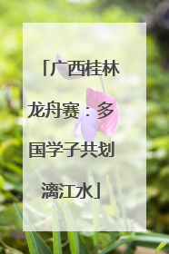 广西桂林龙舟赛：多国学子共划漓江水