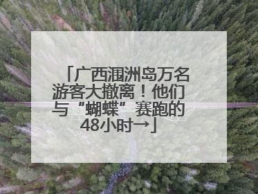 广西涠洲岛万名游客大撤离！他们与“蝴蝶”赛跑的48小时→