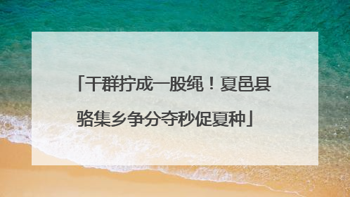 干群拧成一股绳！夏邑县骆集乡争分夺秒促夏种