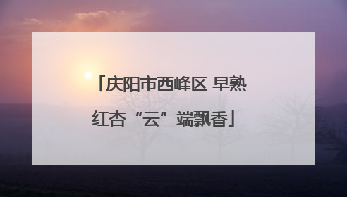 庆阳市西峰区 早熟红杏“云”端飘香