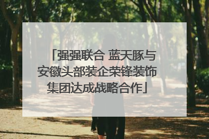 强强联合 蓝天豚与安徽头部装企荣锋装饰集团达成战略合作