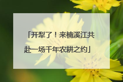 开犁了！来楠溪江共赴一场千年农耕之约