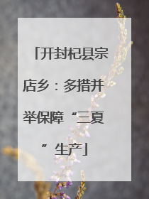 开封杞县宗店乡：多措并举保障“三夏”生产