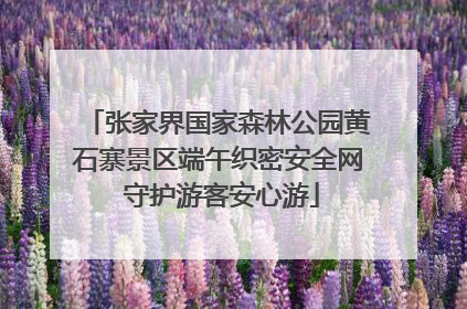 张家界国家森林公园黄石寨景区端午织密安全网 守护游客安心游