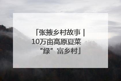 张掖乡村故事｜10万亩高原夏菜“绿”富乡村