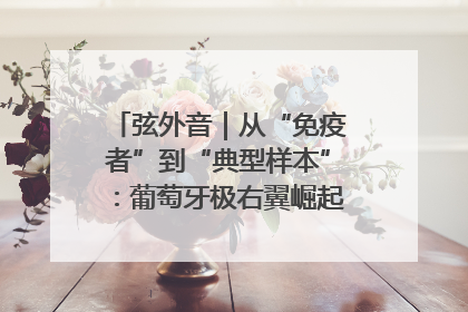 弦外音｜从“免疫者”到“典型样本”：葡萄牙极右翼崛起背后的欧洲困局