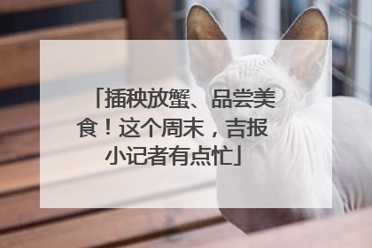 插秧放蟹、品尝美食！这个周末，吉报小记者有点忙