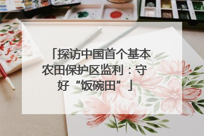 探访中国首个基本农田保护区监利：守好“饭碗田”