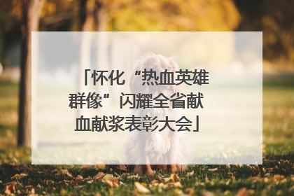 怀化“热血英雄群像”闪耀全省献血献浆表彰大会
