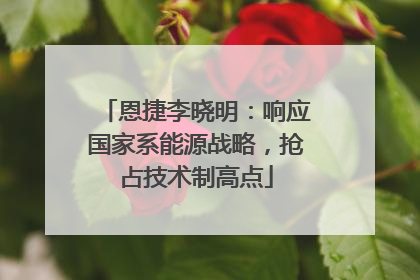 恩捷李晓明：响应国家系能源战略，抢占技术制高点