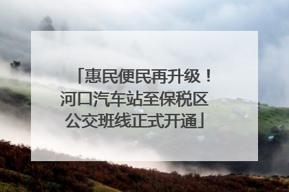 惠民便民再升级！河口汽车站至保税区公交班线正式开通