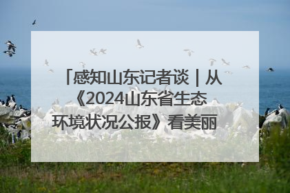 感知山东记者谈｜从《2024山东省生态环境状况公报》看美丽山东建设的“成绩单”与“任务书”