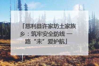 慈利县许家坊土家族乡：筑牢安全防线 一路“未”爱护航