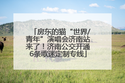 房东的猫“世界/青年”演唱会济南站来了！济南公交开通6条歌迷定制专线