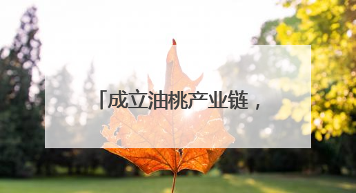 成立油桃产业链，建立“常态一季一议、要事一事一议”联席议事机制，山东省日照市莒县果庄镇——13个党小组“全周期”育果