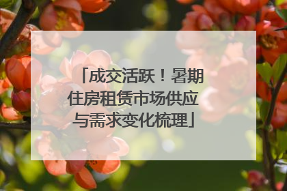 成交活跃！暑期住房租赁市场供应与需求变化梳理