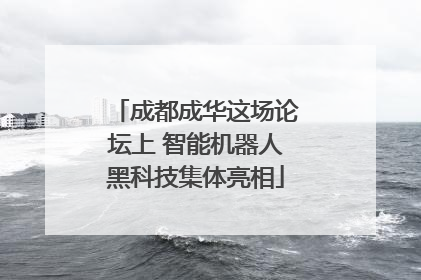 成都成华这场论坛上 智能机器人黑科技集体亮相
