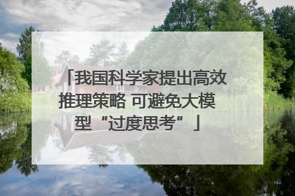 我国科学家提出高效推理策略 可避免大模型“过度思考”
