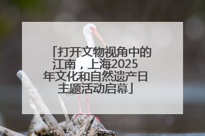 打开文物视角中的江南，上海2025年文化和自然遗产日主题活动启幕