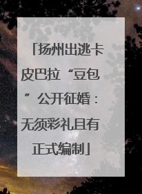 扬州出逃卡皮巴拉“豆包”公开征婚：无须彩礼且有正式编制