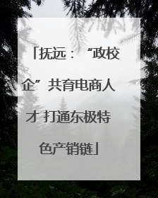 抚远：“政校企”共育电商人才 打通东极特色产销链
