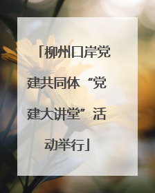 柳州口岸党建共同体“党建大讲堂”活动举行