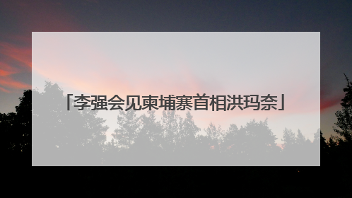李强会见柬埔寨首相洪玛奈