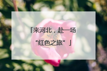 来河北，赴一场“红色之旅”