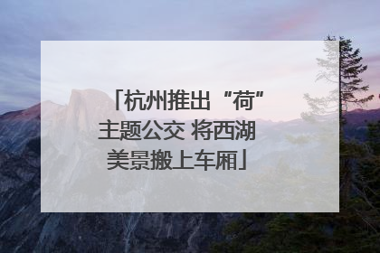 杭州推出“荷”主题公交 将西湖美景搬上车厢