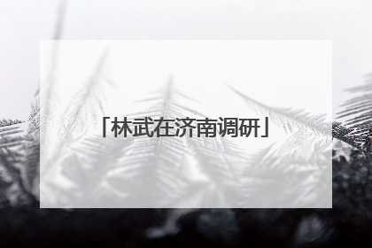 林武在济南调研