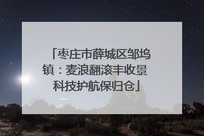 枣庄市薛城区邹坞镇：麦浪翻滚丰收景 科技护航保归仓