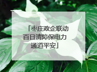 枣庄政企联动百日清障保电力通道平安