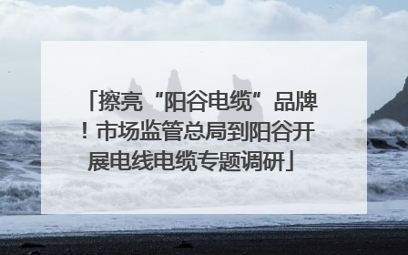 擦亮“阳谷电缆”品牌！市场监管总局到阳谷开展电线电缆专题调研