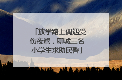 放学路上偶遇受伤夜鹭，聊城三名小学生求助民警