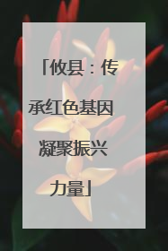 攸县：传承红色基因 凝聚振兴力量