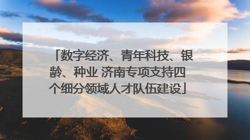 数字经济、青年科技、银龄、种业 济南专项支持四个细分领域人才队伍建设