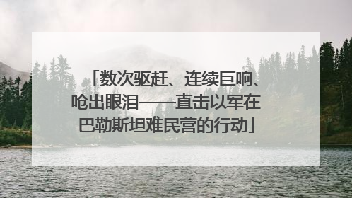 数次驱赶、连续巨响、呛出眼泪——直击以军在巴勒斯坦难民营的行动