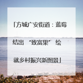 方城广安街道：蓝莓结出 “致富果” 绘就乡村振兴新图景