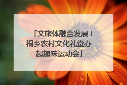 文旅体融合发展！桐乡农村文化礼堂办起趣味运动会