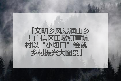文明乡风浸润山乡！广信区田墩镇黄坑村以“小切口”绘就乡村振兴大图景