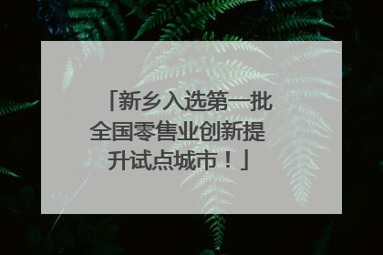 新乡入选第一批全国零售业创新提升试点城市！