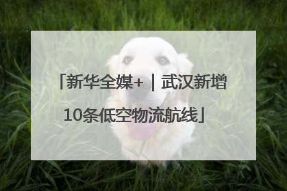 新华全媒+｜武汉新增10条低空物流航线