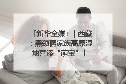 新华全媒+｜西藏：黑颈鹤家族高原湿地喜添“萌宝”