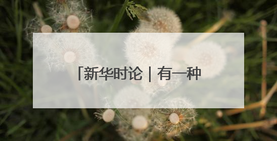 新华时论｜有一种科学，叫“无用”——也谈华为的“黄大年茶思屋”