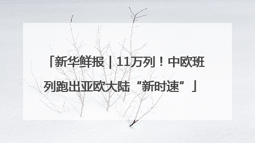 新华鲜报｜11万列！中欧班列跑出亚欧大陆“新时速”