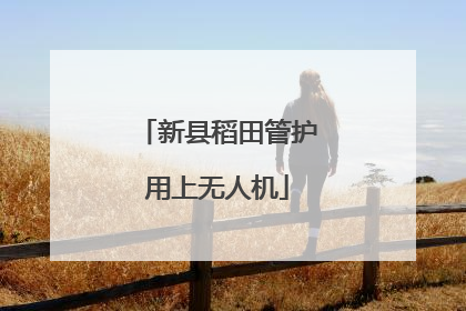 新县稻田管护用上无人机