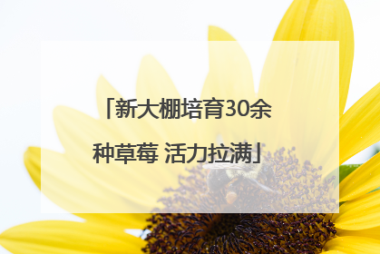 新大棚培育30余种草莓 活力拉满