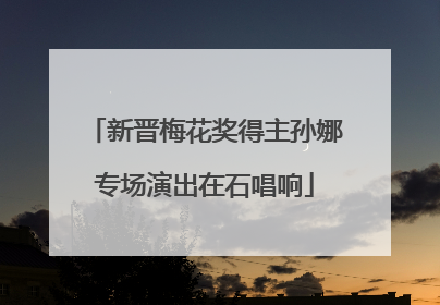 新晋梅花奖得主孙娜专场演出在石唱响