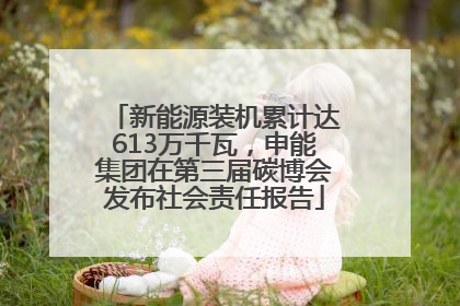 新能源装机累计达613万千瓦，申能集团在第三届碳博会发布社会责任报告