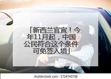 新西兰官宣！今年11月起，中国公民符合这个条件可免签入境